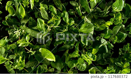 Falling herbs leaves, isolated on black background. Falling herbs leaves, isolated on black background. 117680372