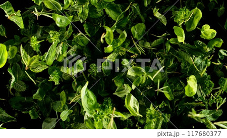 Falling herbs leaves, isolated on black background. Falling herbs leaves, isolated on black background. 117680377