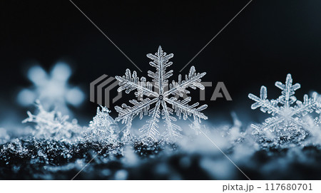 雪の結晶 117680701