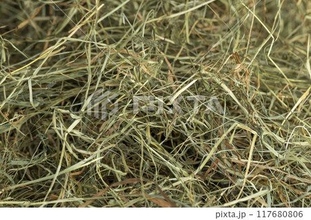 Dehydrated Dried Grass for hay production in agriculture Dehydrated Dried Grass for hay production in agriculture 117680806