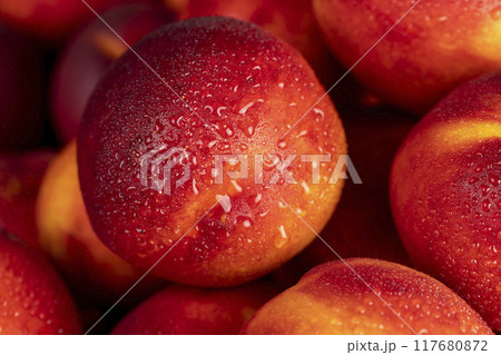 a small harvest of ripe washed nectarines in drops 117680872