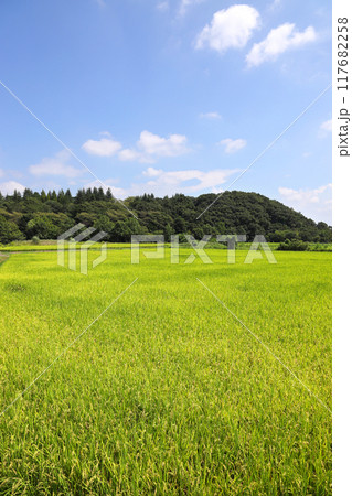 青空の田園風景 青空の田園風景 117682258