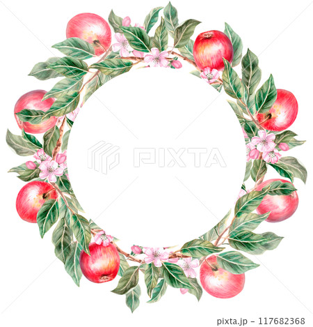 Wreath of ripe red apples. Isolated watercolor illustration for farm fruit design, agricultural fairs, organic product packaging. Harvesting in orchard 117682368