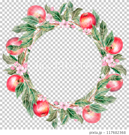 Wreath of ripe red apples. Isolated watercolor illustration for farm fruit design, agricultural fairs, organic product packaging. Harvesting in orchard 117682368