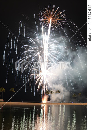 夏の夜空を彩る花火 夏の夜空を彩る花火 117682616