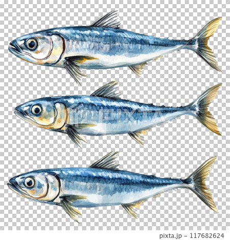 三馬水彩套裝 117682624