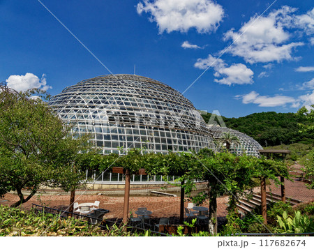 名古屋市熱帯果樹温室 117682674