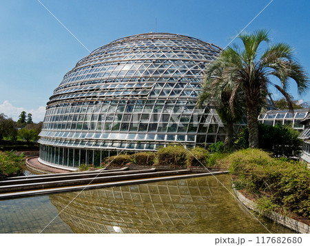 名古屋市熱帯果樹温室 117682680