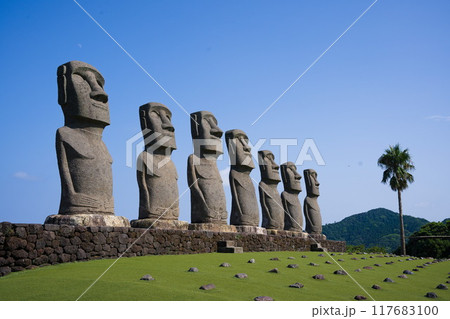 海を見つめるモアイ像 117683100