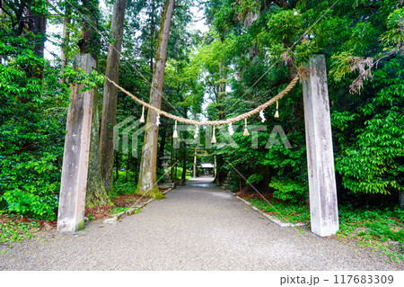 播磨国一宮 伊和神社 参道(兵庫県宍粟市) 播磨国一宮 伊和神社 参道(兵庫県宍粟市) 117683309
