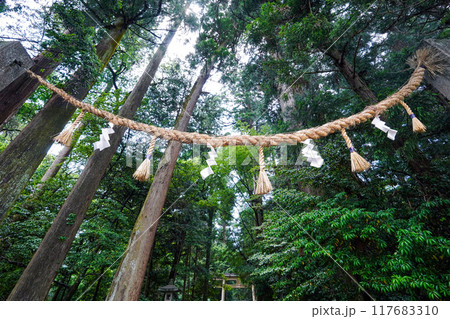 播磨国一宮 伊和神社 参道(兵庫県宍粟市) 播磨国一宮 伊和神社 参道(兵庫県宍粟市) 117683310