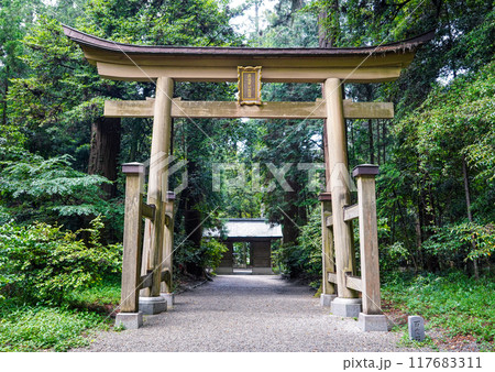 播磨国一宮 伊和神社 参道(兵庫県宍粟市) 播磨国一宮 伊和神社 参道(兵庫県宍粟市) 117683311