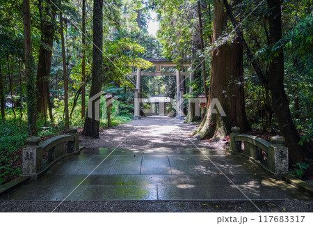 播磨国一宮 伊和神社 参道（兵庫県宍粟市） 117683317