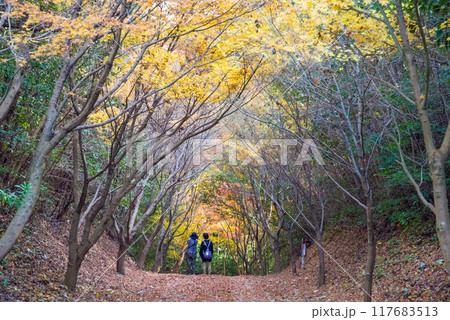 四日市の紅葉穴場スポット「秋の小径」三重県四日市市八王子町 四日市の紅葉穴場スポット「秋の小径」三重県四日市市八王子町 117683513