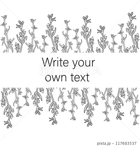 The frame is horizontal, with twigs of the plant and a place to copy. The monochrome frame is vector, hand-drawn. Invitations, books, calendars The frame is horizontal, with twigs of the plant and a place to copy. The monochrome frame is vector, hand-drawn. Invitations, books, calendars 117683537