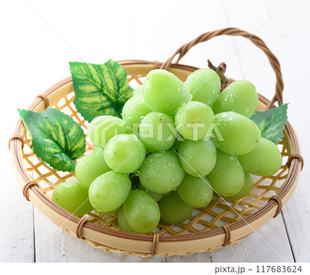 大粒のシャインマスカット 117683624