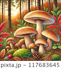 秋の味覚　キノコ 117683645