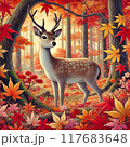日本の秋　紅葉と鹿 117683648