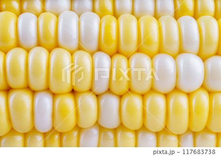 Fresh raw yellow sweet corn background, corncob with yellow grains macro, close up texture. Fresh raw yellow sweet corn background, corncob with yellow grains macro, close up texture. 117683738