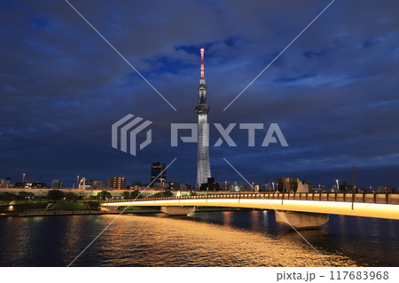 隅田川から望む、スカイツリーの夜景 117683968