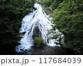 日光の湯滝 117684039