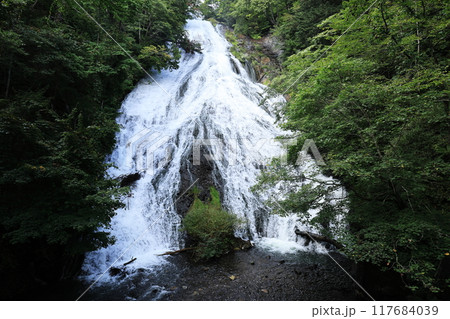 日光の湯滝 117684039