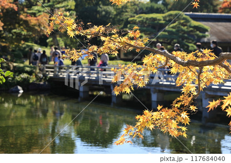 紅葉のある日本庭園 117684040
