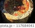 水面に浮かぶ紅葉 117684041