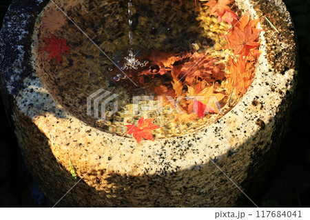 水面に浮かぶ紅葉 117684041