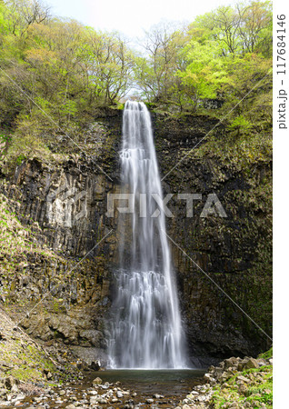玉簾の滝 山形県酒田市 玉簾の滝 山形県酒田市 117684146