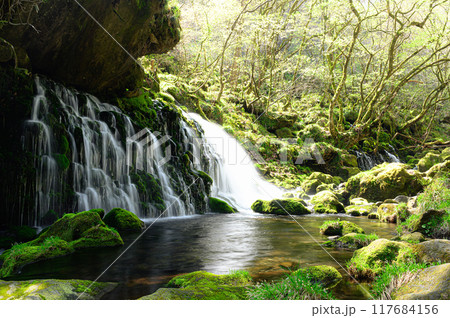 元滝伏流水　山形県にかほ市 117684156