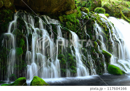 元滝伏流水　山形県にかほ市 117684166
