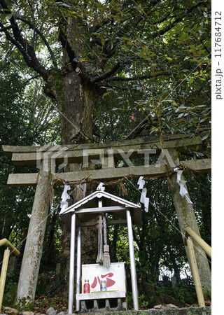 和歌山県かつらぎ町の鎌八幡神社 117684712