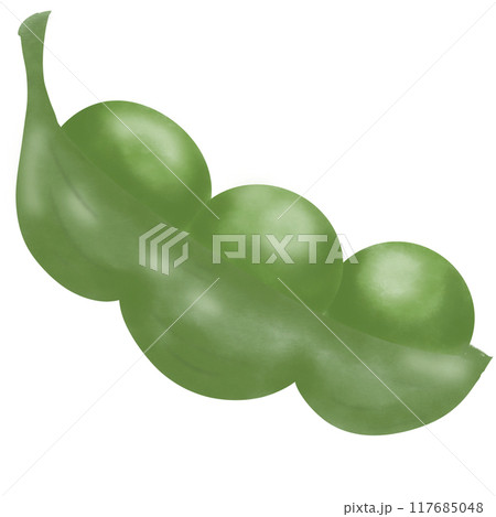 Green peas illustration so fresh 117685048