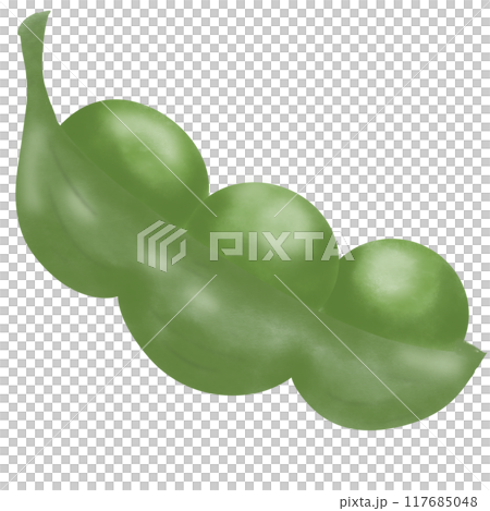 Green peas illustration so fresh 117685048