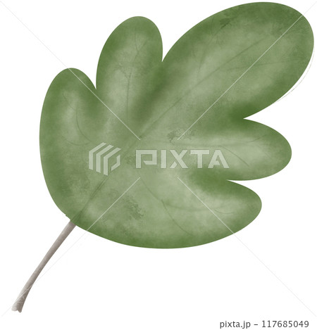 a green leaf illustration so cute a green leaf illustration so cute 117685049
