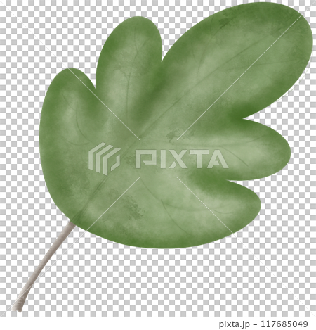a green leaf illustration so cute 117685049