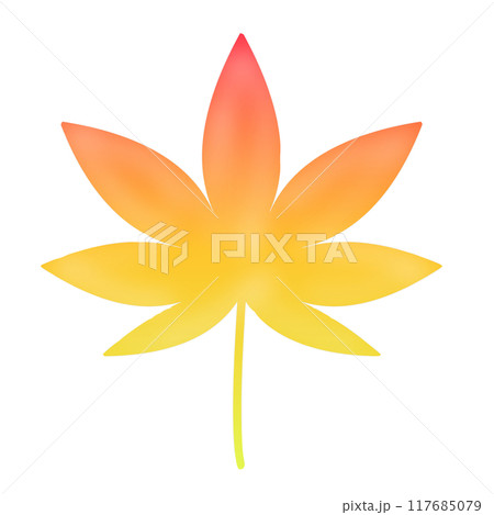 紅葉 モミジ 紅葉 モミジ 117685079