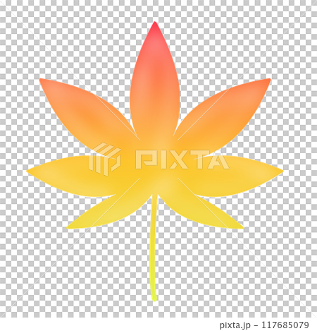 紅葉 モミジ 紅葉 モミジ 117685079