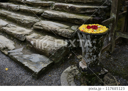 和歌山県かつらぎ町の丹生都比売神社花手水 117685123