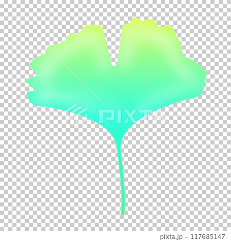 Ginkgo biloba 117685147