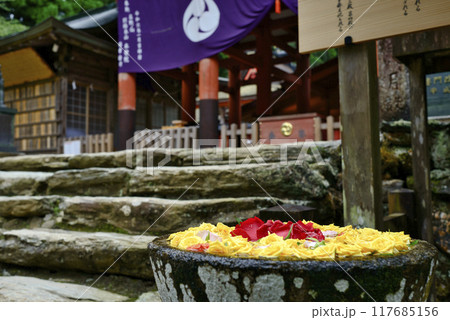 和歌山県かつらぎ町の丹生都比売神社花手水 117685156