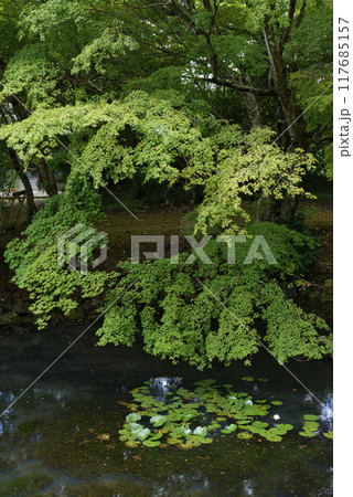 和歌山県かつらぎ町の丹生都比売神社 117685157