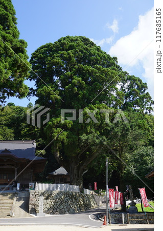 岡山県美咲町にある真言宗のお寺 二上山「両山寺」：二上杉（名木百選） 117685165