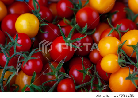 Red and yellow cherry tomatoes. Harvest vegetables. Tomato food Red and yellow cherry tomatoes. Harvest vegetables. Tomato food 117685289