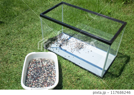 水槽の掃除(上部フィルター)03 水槽の掃除(上部フィルター)03 117686246