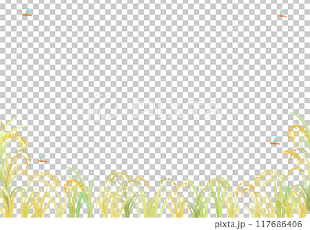 水彩絵の具で描いた稲穂の背景 水彩絵の具で描いた稲穂の背景 117686406
