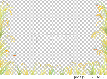 水彩絵の具で描いた稲穂の背景 水彩絵の具で描いた稲穂の背景 117686407