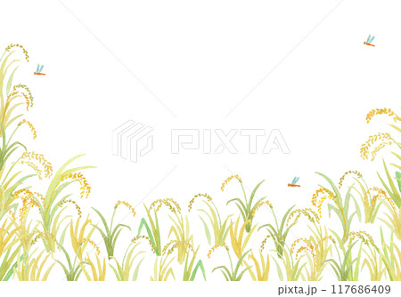 水彩絵の具で描いた稲穂の背景 水彩絵の具で描いた稲穂の背景 117686409
