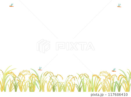 水彩絵の具で描いた稲穂の背景 117686410
